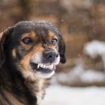 В Александровском районе сотрудника ГУП 