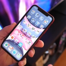 Задержан вор из Оренбургской области, кравший исключительно IPhone 11