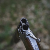 Житель Ташлинского района не посчитал нужным выплатить штраф за незаконную охоту