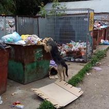 Кто оказался крайним в Оренбуржье в плохом вывозе мусора