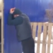 В Грачевском районе покупатели пытались похитить у фермера 44 тонны семян подсолнечника