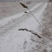 В Гайском горокруге по дороге в поселок потерялась женщина