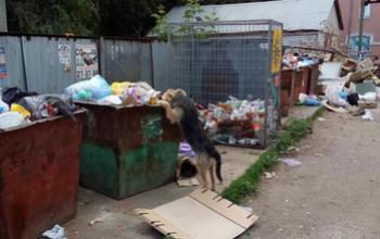 Кто оказался крайним в Оренбуржье в плохом вывозе мусора