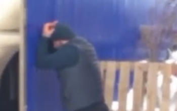 В Грачевском районе покупатели пытались похитить у фермера 44 тонны семян подсолнечника
