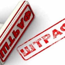 Бухгалтер Чернореченского лесничества заплатит штраф за допущенные нарушения