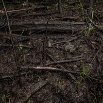 Нефтедобывающая компания в Оренбуржье компенсирует государству 60 миллионов рублей