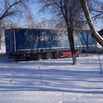 В Оренбуржье завершено расследование уголовного дела о вывозе леса на 2 млн рублей