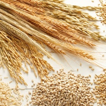 Предприниматель из Орска 