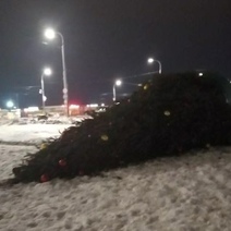 Штормовой ветер валил в Оренбурге елки и срывал кровли с домов