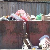 По отчетам с вывозом мусора в Оренбуржье все в норме, а на деле…