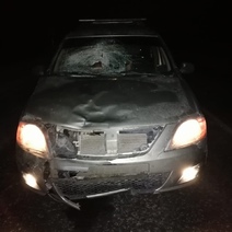 В Саракташском районе водитель 