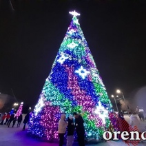Основные елки в Оренбурге простоят еще неделю