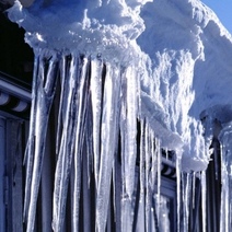 Оренбуржцев просят быть осторожными во время прогулок