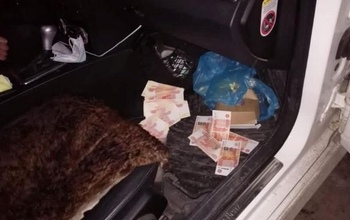 Оренбургский адвокат сам может лишиться свободы