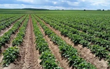 Бывший руководитель агрофирмы 