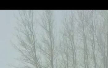 Спасатели больше трёх часов искали пропавшего в метель рыбака на востоке Оренбуржья