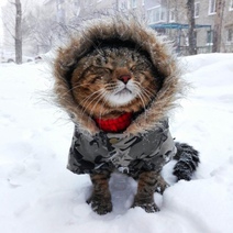 Когда в Оренбургскую область вернется тепло