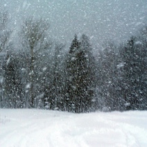 Какие аномалии еще подкинет оренбуржцам погода в последние дни зимы