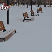 Про некоторые оренбургские парки и скверы коммунальщики просто забыли