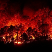 Оренбуржье - в зоне повышенной опасности лесных пожаров весной