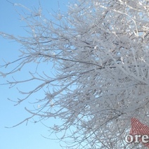 В Оренбуржье в ближайшее время ожидается усиление ветра