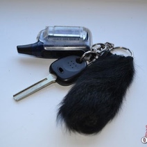 Житель Первомайского района отделался штрафом за угон автомобиля