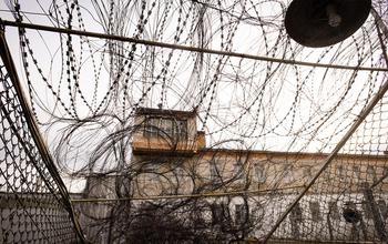 Оренбуржцы могут спать спокойно: подписан закон о блокировке мобильной связи в колониях