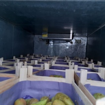 На границе Оренбуржья задержан автомобиль с 850 кг польских груш