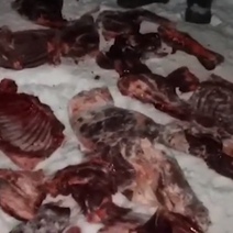 В Шарлыкском районе у браконьера обнаружили четыре разделанные туши косули (18+)