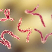 В Оренбуржье снизилась заболеваемость по многим инфекционным и паразитарным болезням