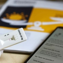 Тест на COVID нужен лишь школьникам, которые проведут каникулы за границей