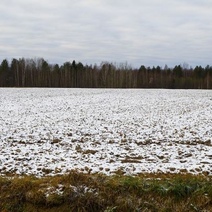 В Оренбуржье прокуратура снова заинтересовалась участками для многодетных семей