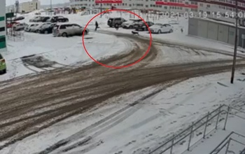 В Оренбурге произошло очередное нападение бездомных собак на человека