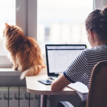 Кому в Оренбурге готовы предоставить самую большую зарплату на 