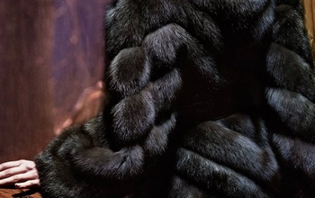 Две соседки заплатят оренбурженке за норковую шубу, которую порвали в ходе драки