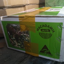 В Оренбуржье на границе задержан груз с 14 тоннами австралийских орехов