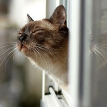 Порадует ли оренбуржцев погода в ближайшие дни