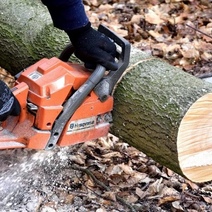 Дровосек из Тюльгана не возместил ущерб от своих действий