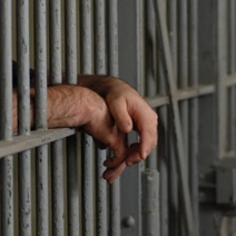 Новотройчанин 