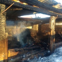 В Оренбуржье на пожаре погибли 40 свиней