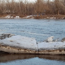 В Оренбурге прошел ледоход: местные жители прыгают по льдинам