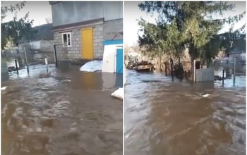 В Шарлыкском районе паводковые воды затопили село