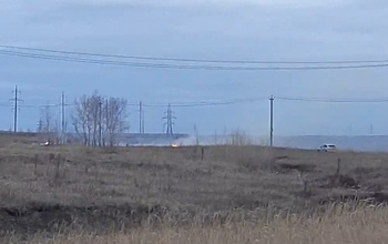 В Нижнесакмарском огонь с поля едва не добрался до жилых домов
