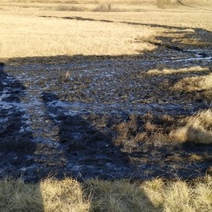 За загрязнение почвы нефтепродуктами в Оренбуржье придется ответить