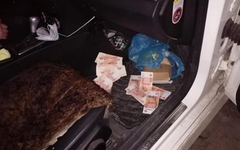В Оренбурге адвокат лишился свободы за взятку якобы для судьи