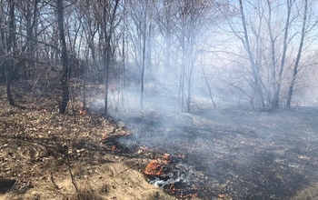 В Бузулукском районе бушевал степной пожар