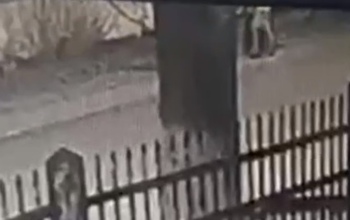В Оренбурге нетрезвый мужчина до полусмерти избил пешехода за отказ угостить сигаретой (18+)