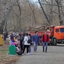 Больше чистоты, больше деревьев!