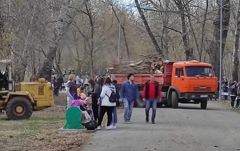 Больше чистоты, больше деревьев!