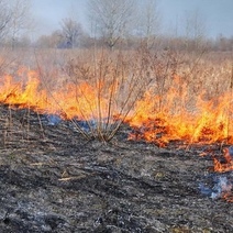 На борьбу с пожарами в Оренбурге вышла прокуратура